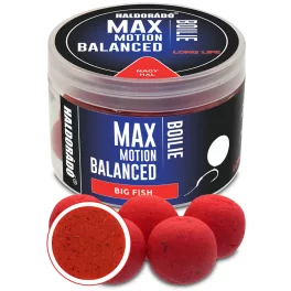 HALDORÁDÓ MAX MOTION Boilie Balanced 20 mm - Nagy Hal 70gr