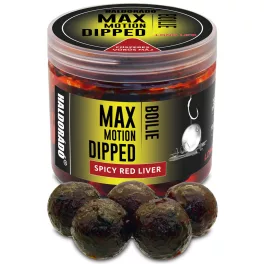   HALDORÁDÓ MAX MOTION Boilie Dipped 20 mm - Fűszeres Vörös Máj 80gr