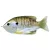 Livetarget Naphal Sunfish Walking Bait Natural/Olive Bluegill 7,5cm