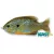 Livetarget Naphal Sunfish Walking Bait Natural/Blue Pumpkinseed 7,5cm