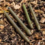 Preston ICS Elasticated Stem Kit - Long / Standard