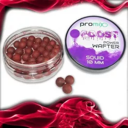 Promix Goost Power Wafter Squid