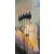 Pesca Seria Carp Elit 0,30gr