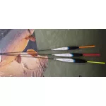 Pesca Seria Carp Light 0,30gr