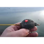 Stég Upters Corn 10mm Honey