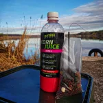 Stég Corn Juice Chili-Peach 500ml