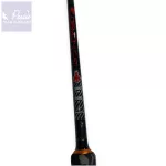 Varga's Demon Cat 270cm 300g 2 Részes Harcsázó Bot