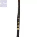 Varga's Buffalo Cat 300cm 200-600g 2 Részes Harcsázó Bot