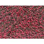 Top Mix Dynamic Carp Etető Pellet Eper 800gr