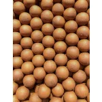 Aqua Garant Classic Boilie 24mm 800gr