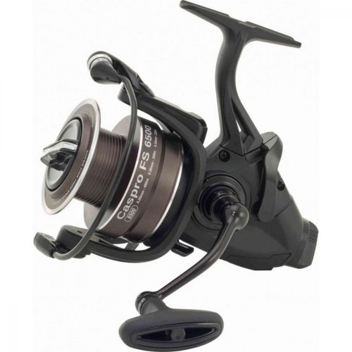 Ryobi Caspro FS 5500 E